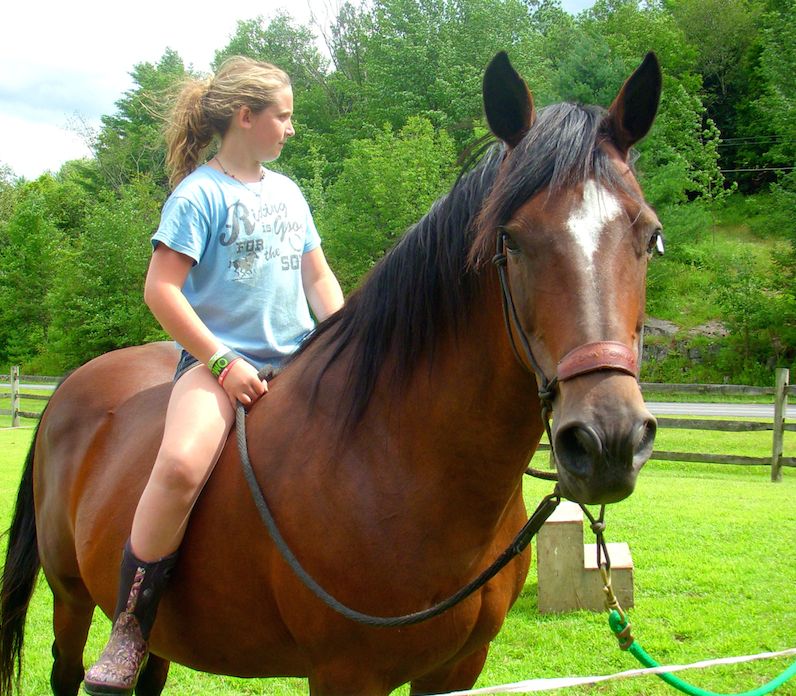 Horses and Pathfinders Leadership Youth Vermont New England Equine Guided Education Learning Growth